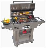 Stainless Steel BBQ Grill