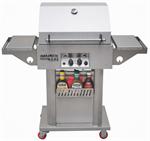 Stainless Steel BBQ Grill